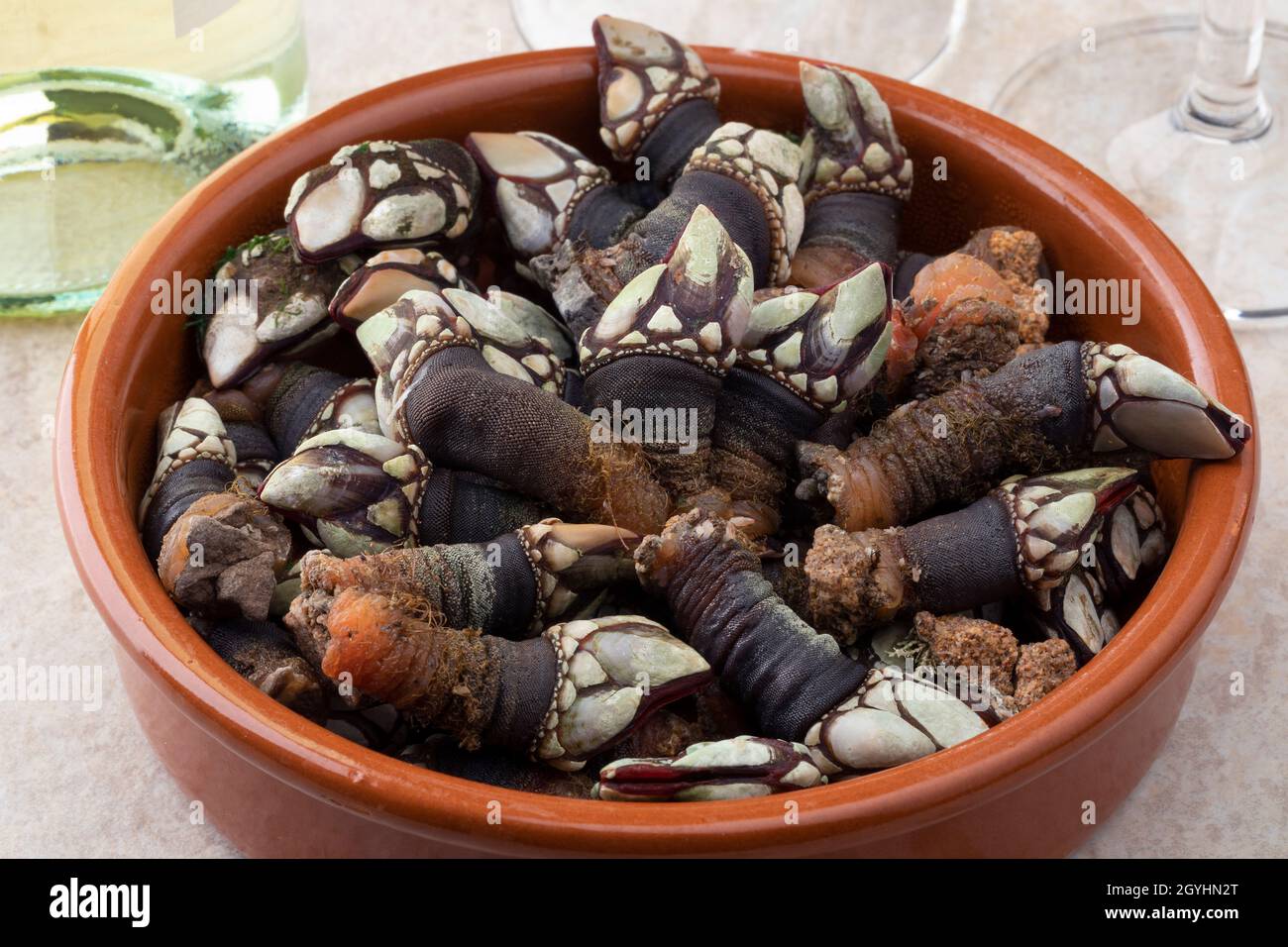 Healthy marine life hi-res stock photography and images - Alamy