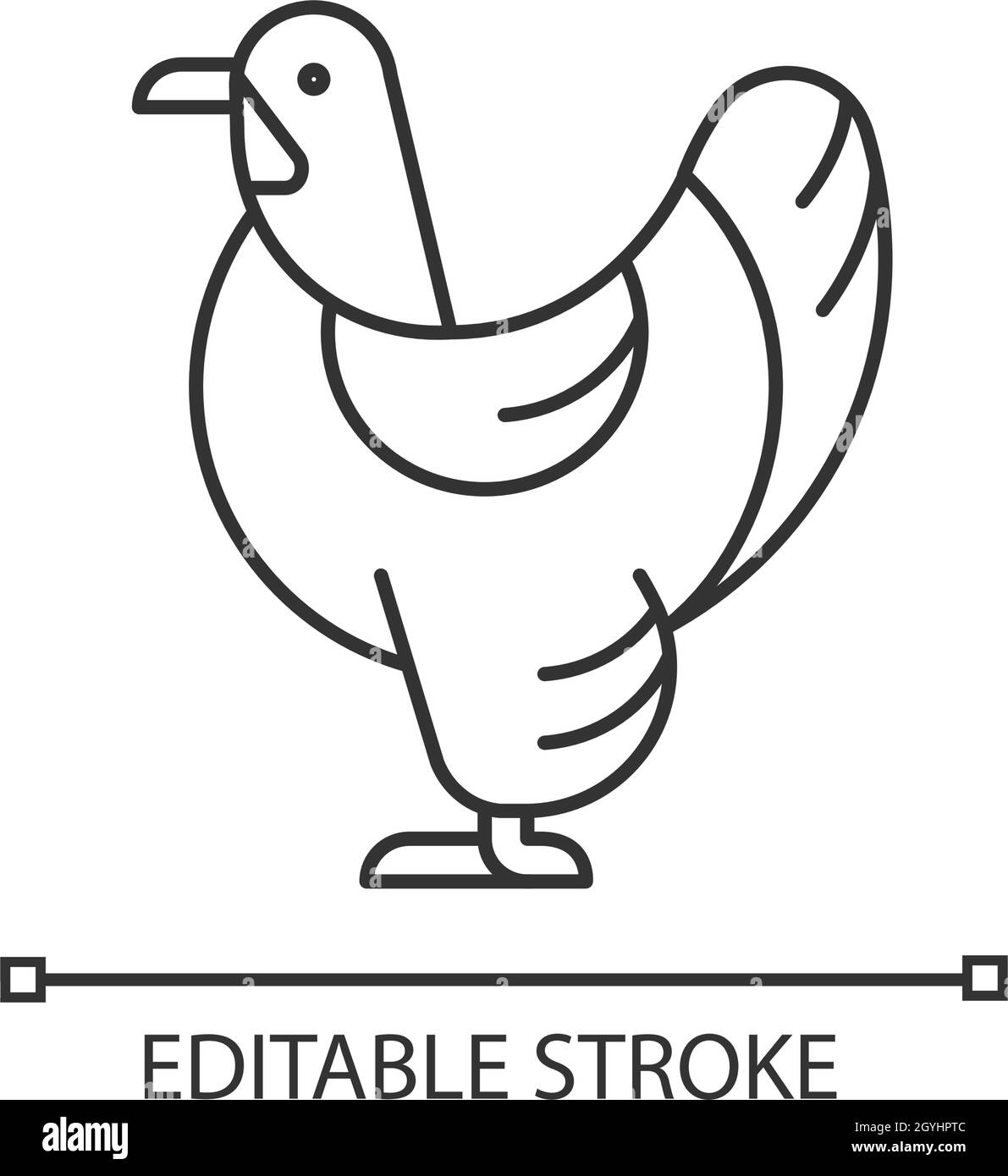 Brahma hen linear icon Stock Vector Image & Art - Alamy