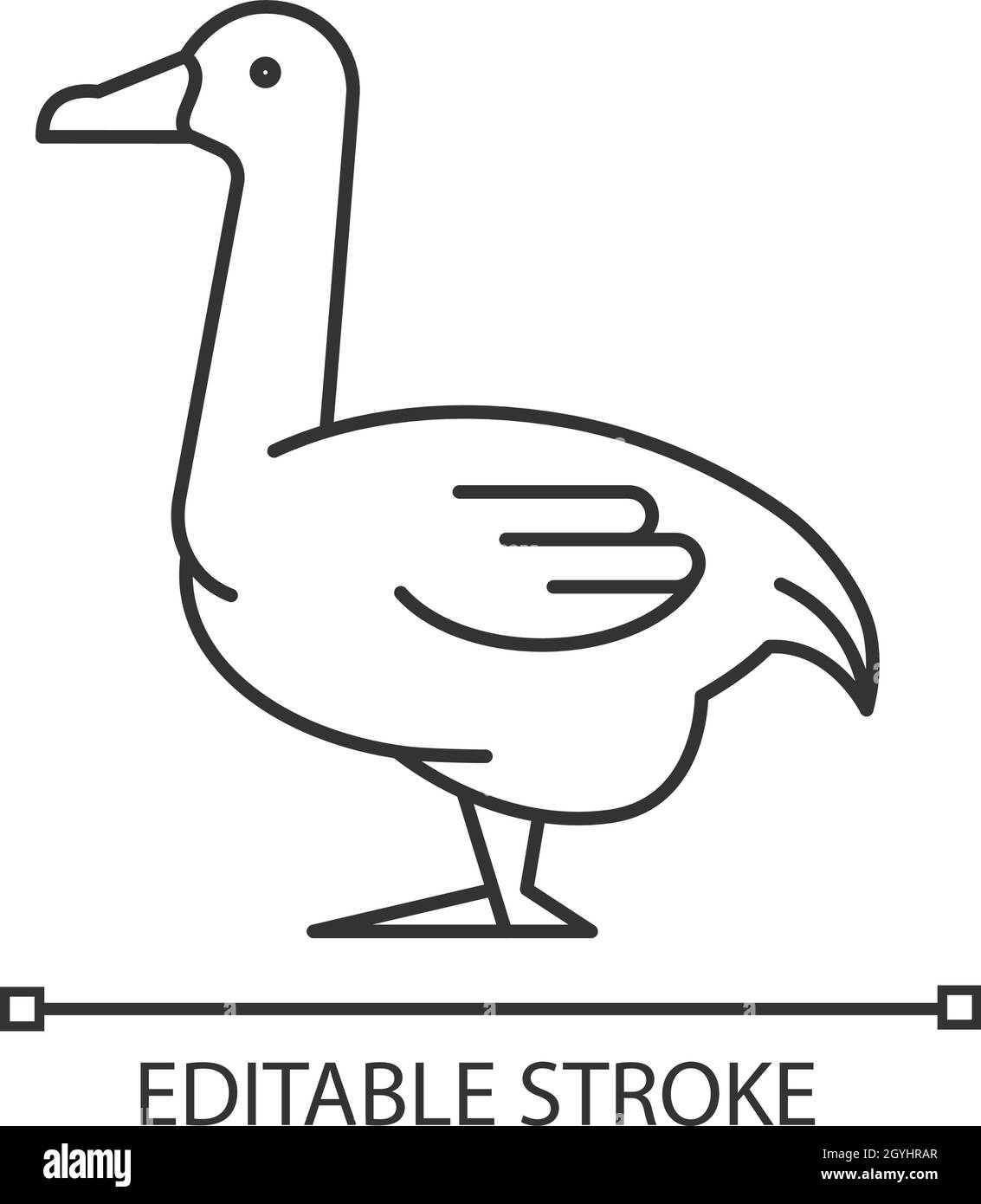 Gosling goose bird Stock Vector Images - Alamy