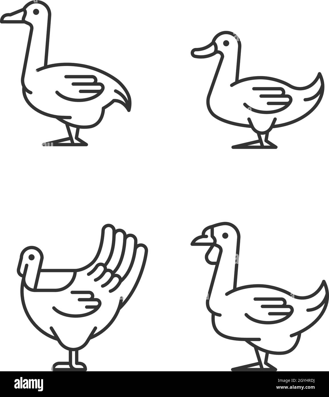 Waterfowl linear icons set Stock Vector