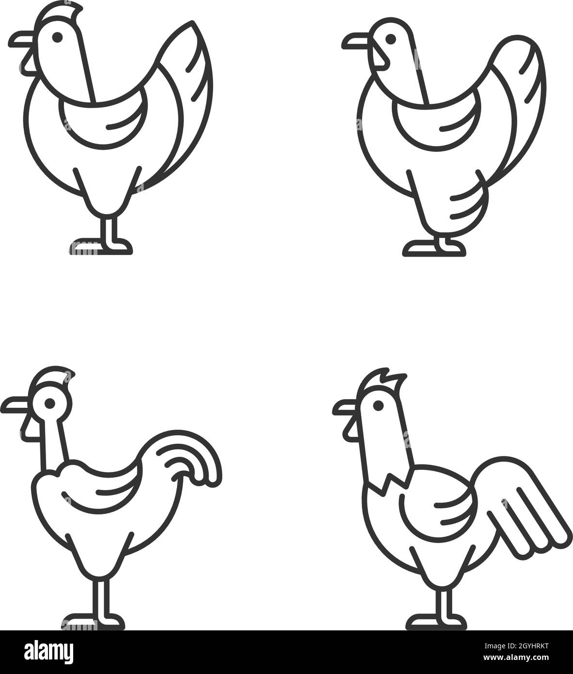 Chicken breeds linear icons set Stock Vector Image & Art - Alamy