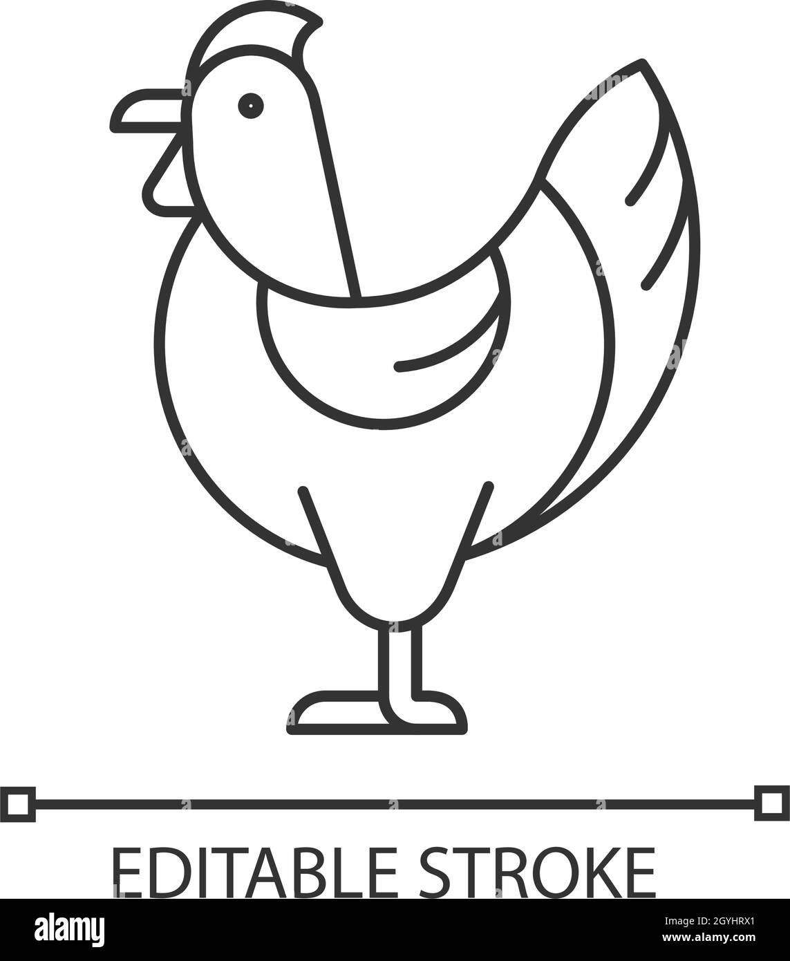 Hen linear icon Stock Vector Image & Art - Alamy