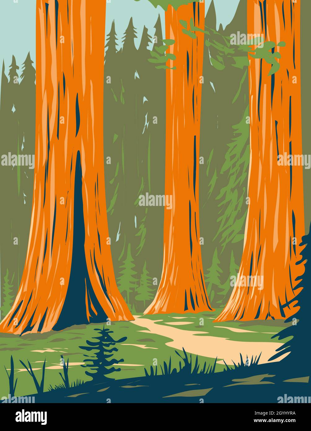 Mariposa Grove of Giant Sequoia in Yosemite National Park near Wawona