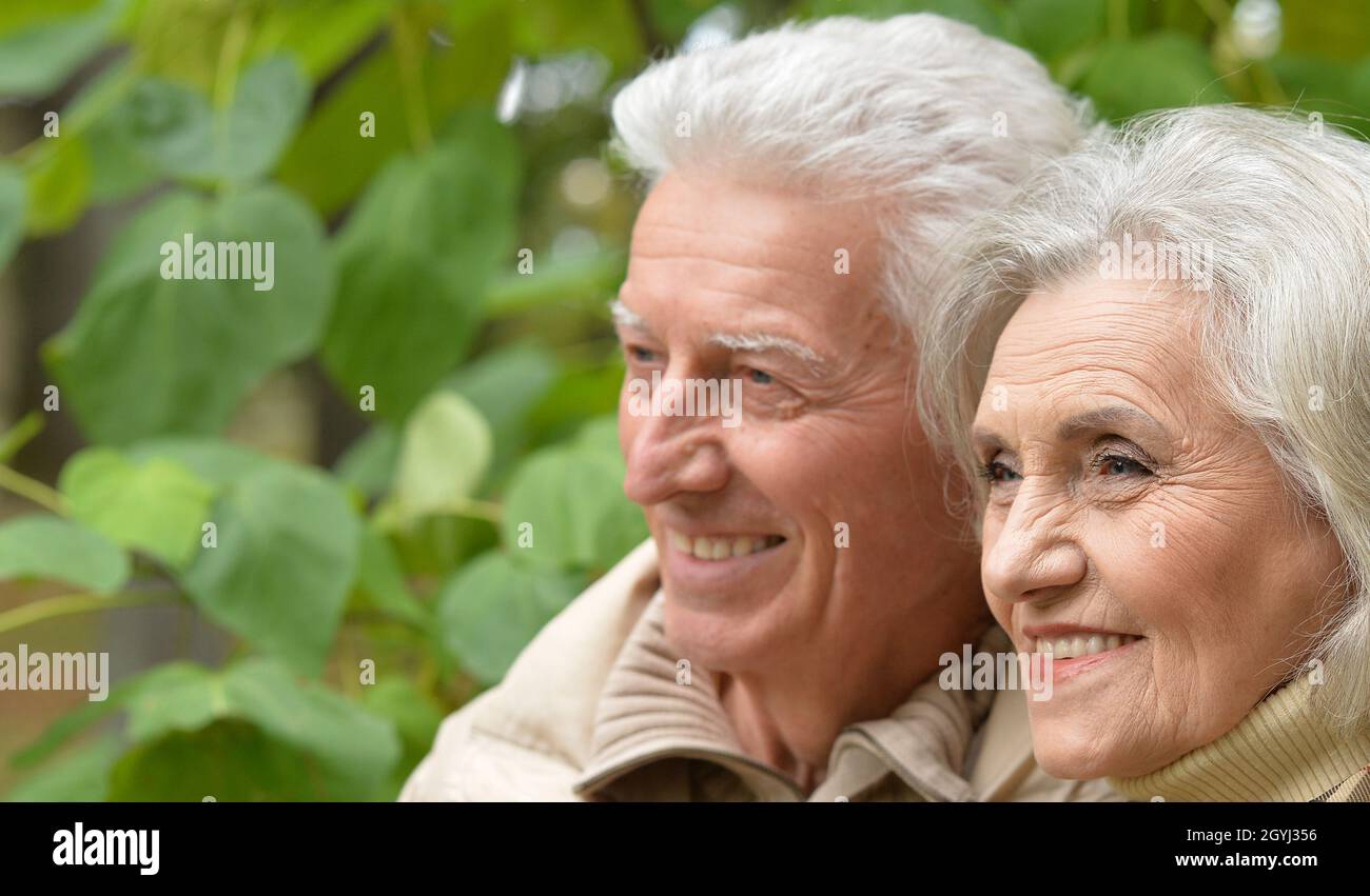 Beautiful senior couple posing in the park Stock Photo - Alamy