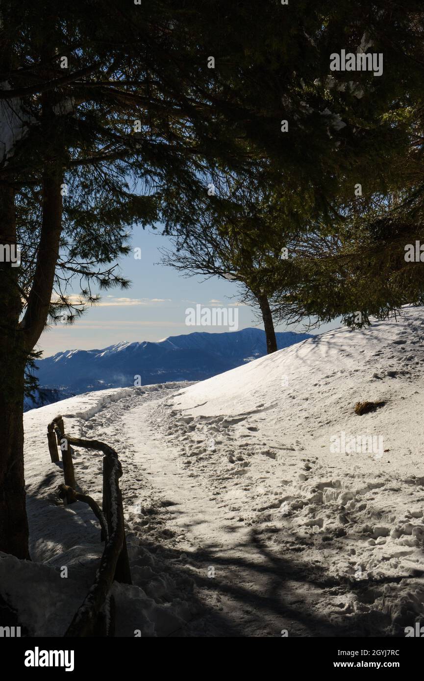 Europe, Italy, Lombardy, Lecco province, Casargo, Alpe Giumello locality. Orobie Alps. Stock Photo