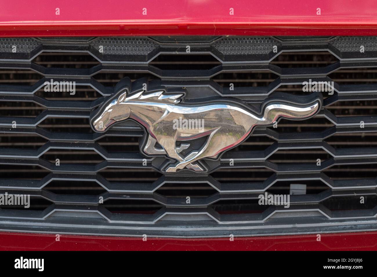 ford mustang galloping prancing rearing horse decal on the radiator grille of a ford mustang car