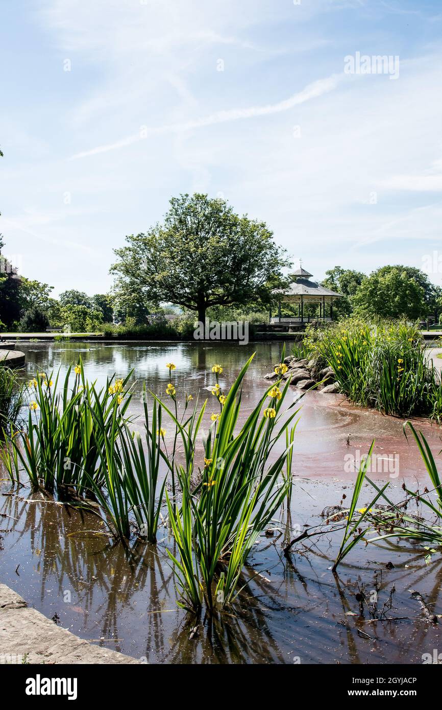 Pond in Greenhead Park, Huddersfield Stock Photo Alamy