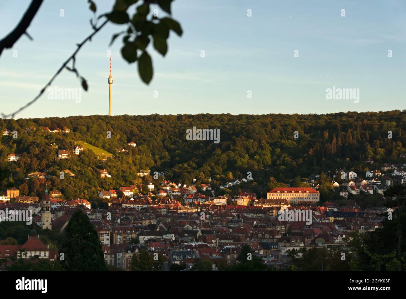 Stuttgart city forest in autumn hi-res stock photography and images - Alamy