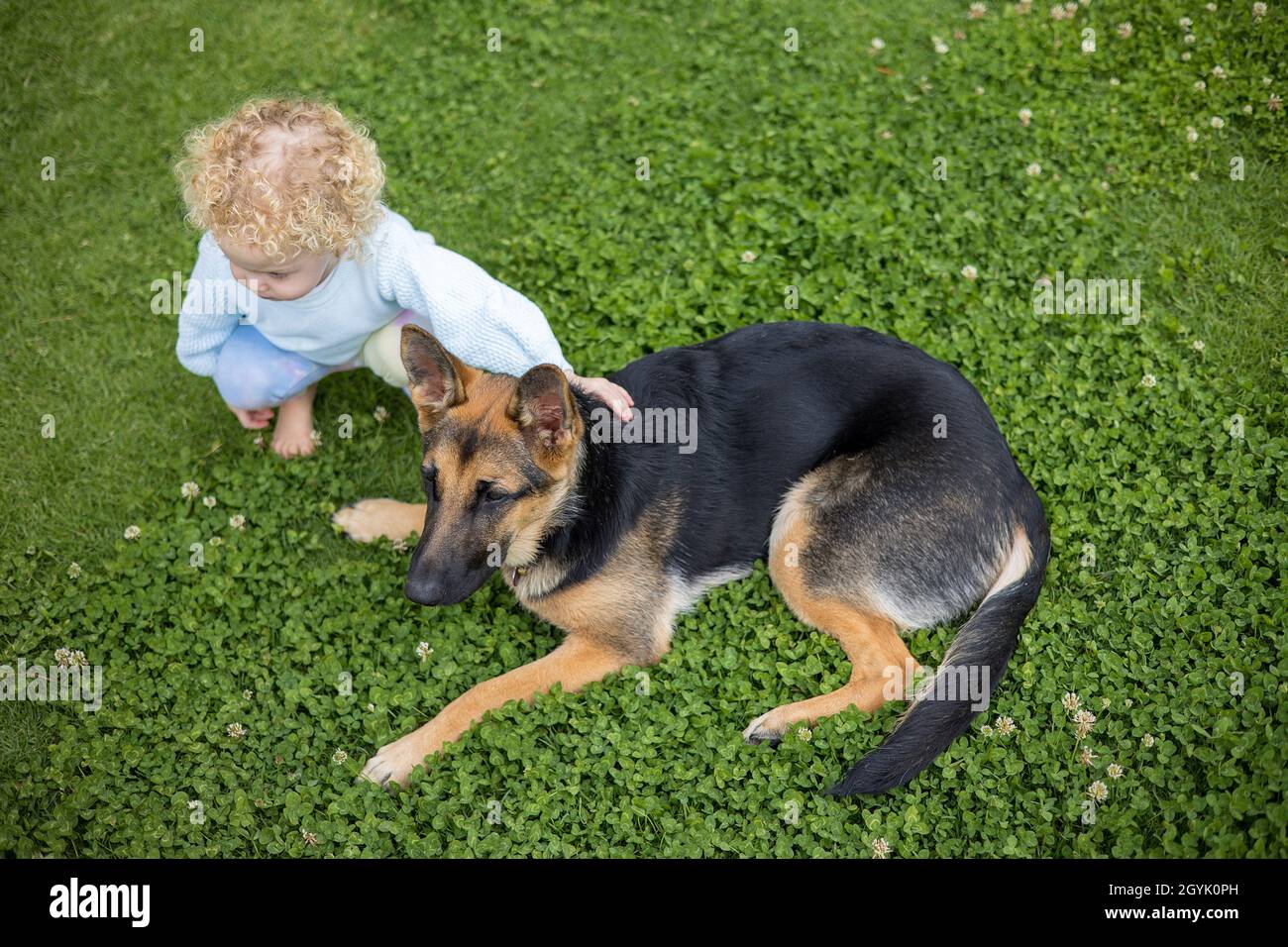 Young Girl and German Shepherd puppy Stock Photo