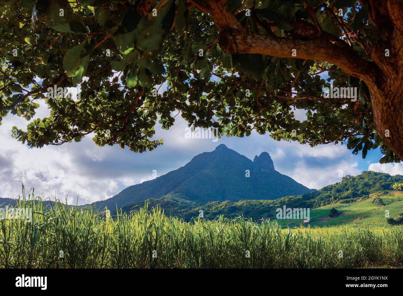 Bambous Mountain, Mauritius, Mascarene Islands. Stock Photo