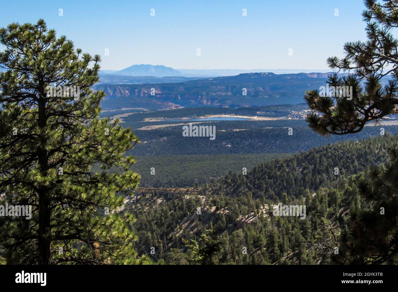 View over one of the many mountain Lakes and the mixed Pine and Conifer Forest of Dixie National forest in Utah, USA Stock Photo
