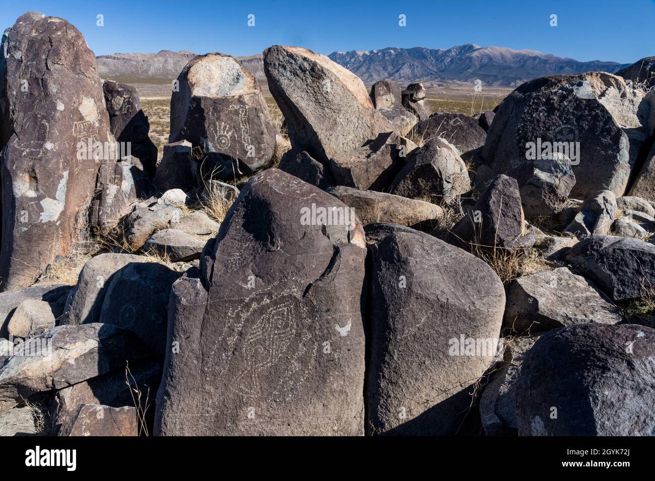 A fish and other designs carved on basalt boulders in the Three Rivers