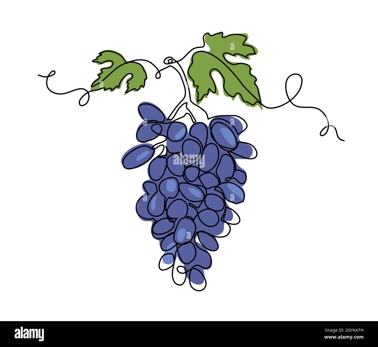 Dark grape bunch one single line art drawing. Continuous vector