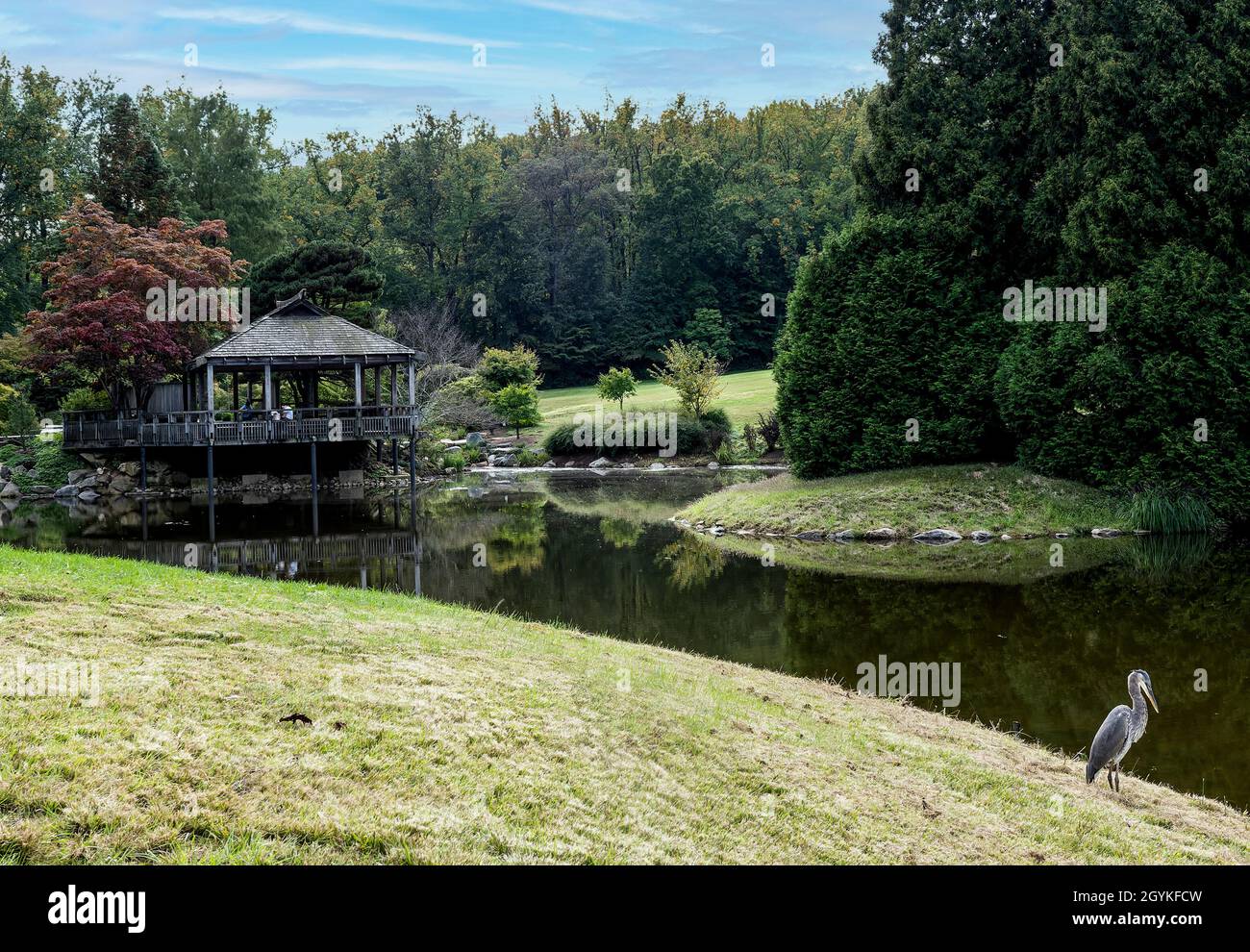 Sloping bank hires stock photography and images Alamy