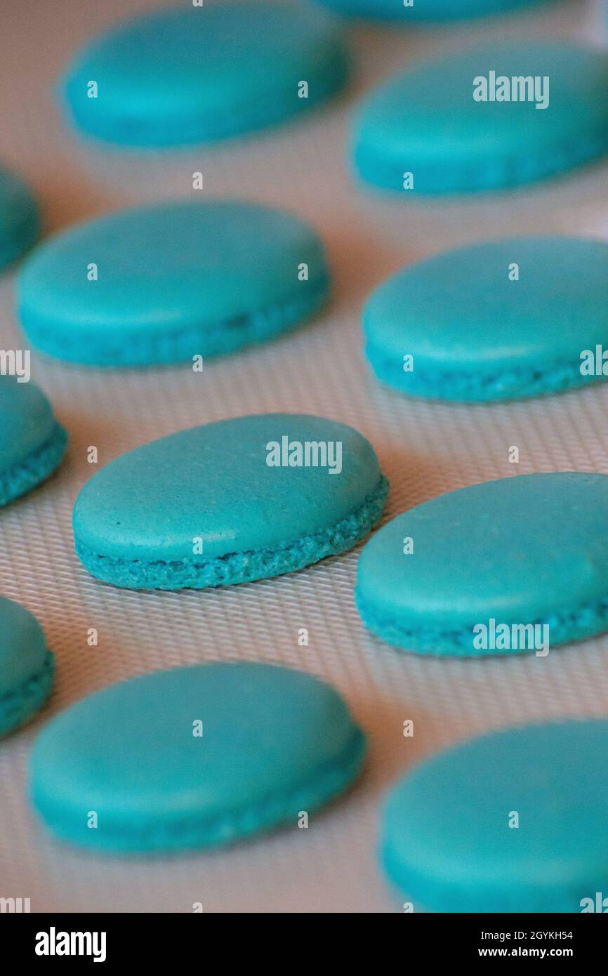 Selective focus shot of blue French macaron shells on a table Stock ...