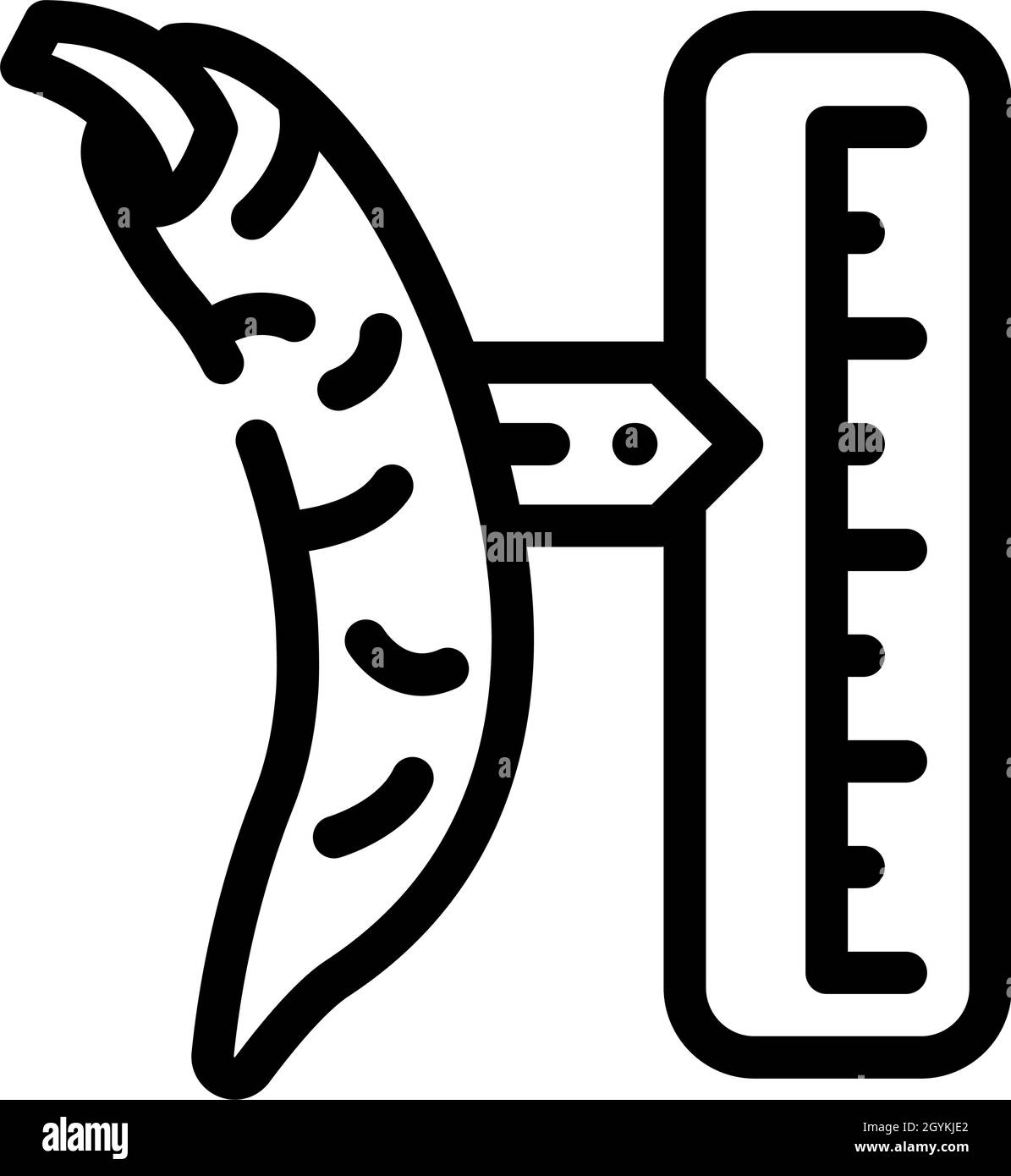 cayenne pepper spice scale line icon vector illustration Stock Vector ...