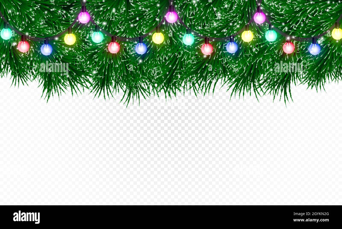 Christmas tree branches with holiday garland isolated on transparent ...