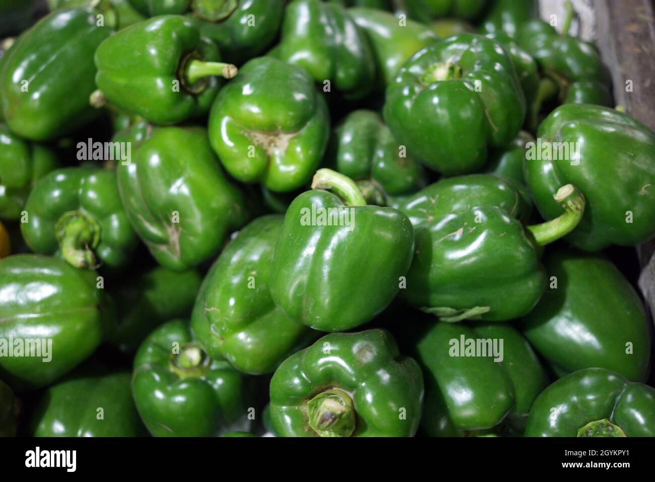 Green bell peppers in the market for sale Stock Photo - Alamy