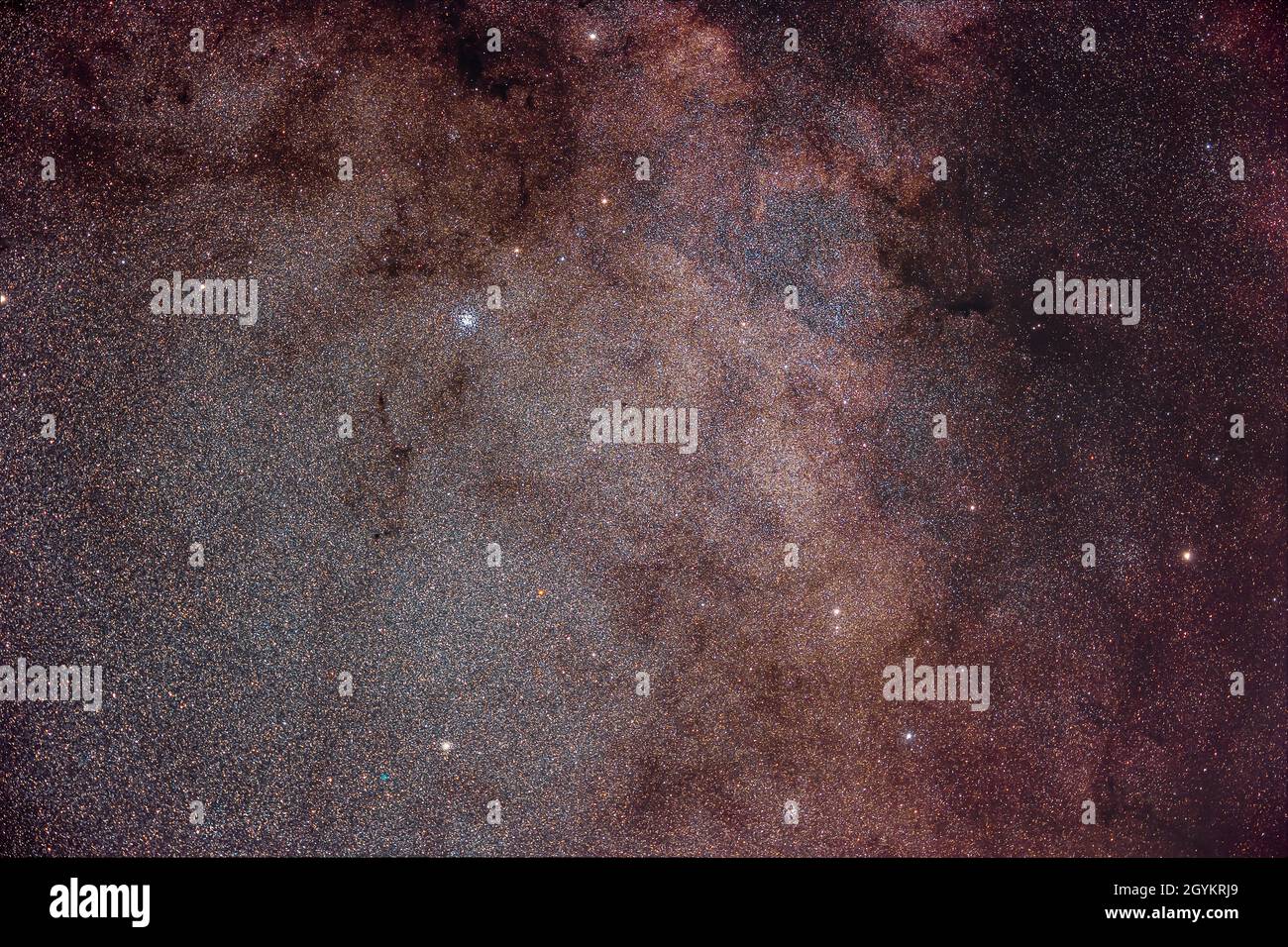 The rich Starcloud in Scutum the Shield framed here with a field of view similar to binoculars, and showing the prominent star cluster M11, aka the Wi Stock Photo