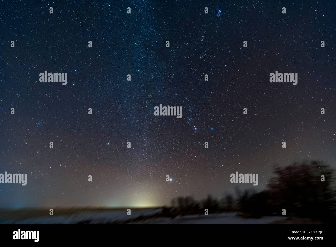 This is a portrait of the winter sky rising in the southeast on January 9, 2021, taken from home in Alberta.  The constellation of Orion is at centre Stock Photo