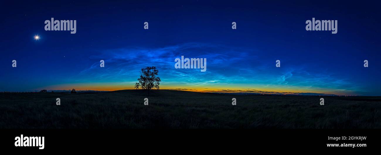 A wide 90° panorama of the massive 'grand display' of noctilucent clouds at dusk on June 16, 2021 from 'One Tree Hill' (my name for it!) near home in Stock Photo