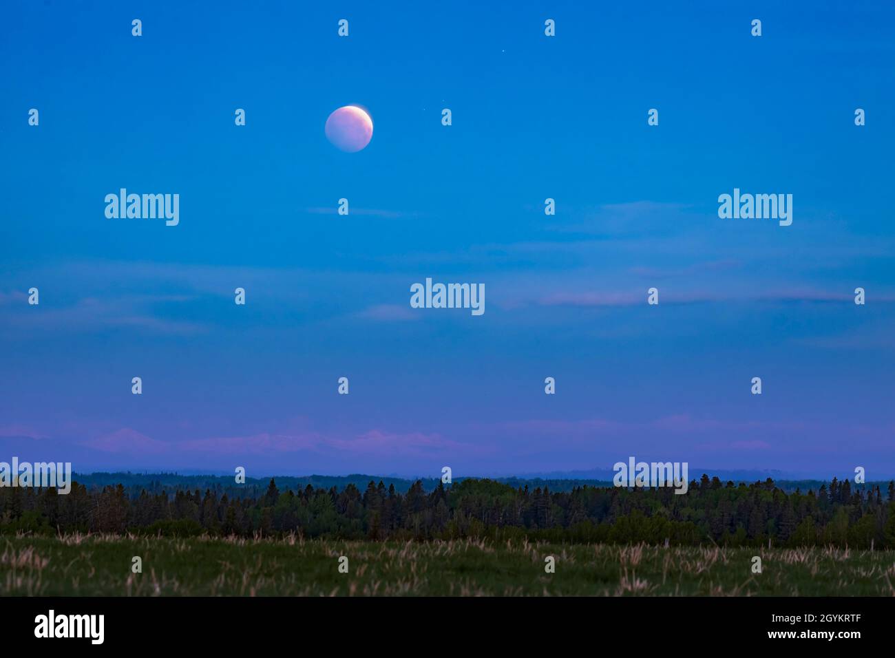 The total lunar eclipse of May 26, 2021, here in the late partial phase about 15 minutes before totality began, with a thin arc of the Full Moon at th Stock Photo