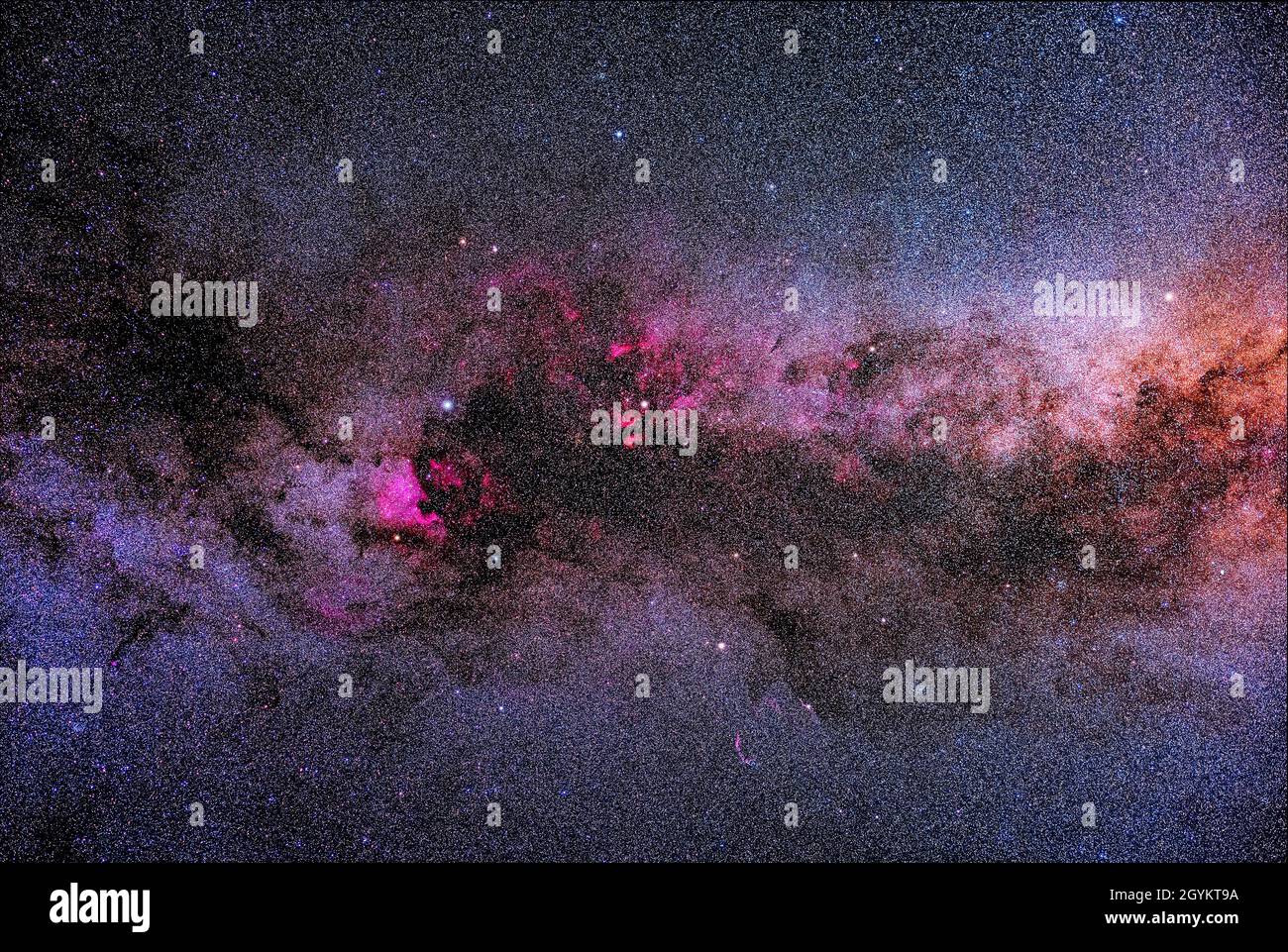 This is a wide shot encompassing most of the constellation of Cygnus the Swan in the northern summer sky, showing the variety of colours in the starcl Stock Photo