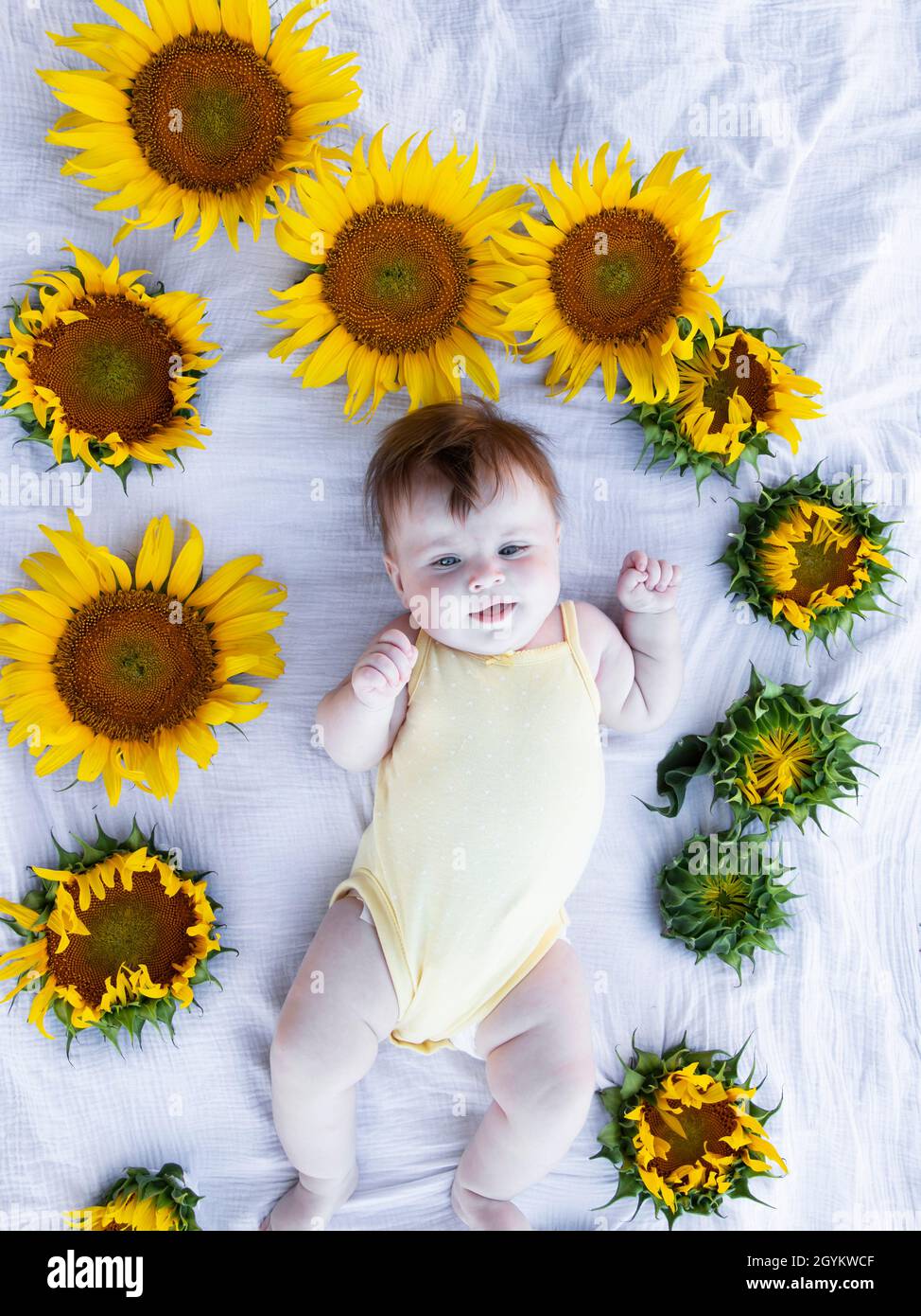 beautiful cute smiling white girl of five months lies in sunflowers Stock Photo