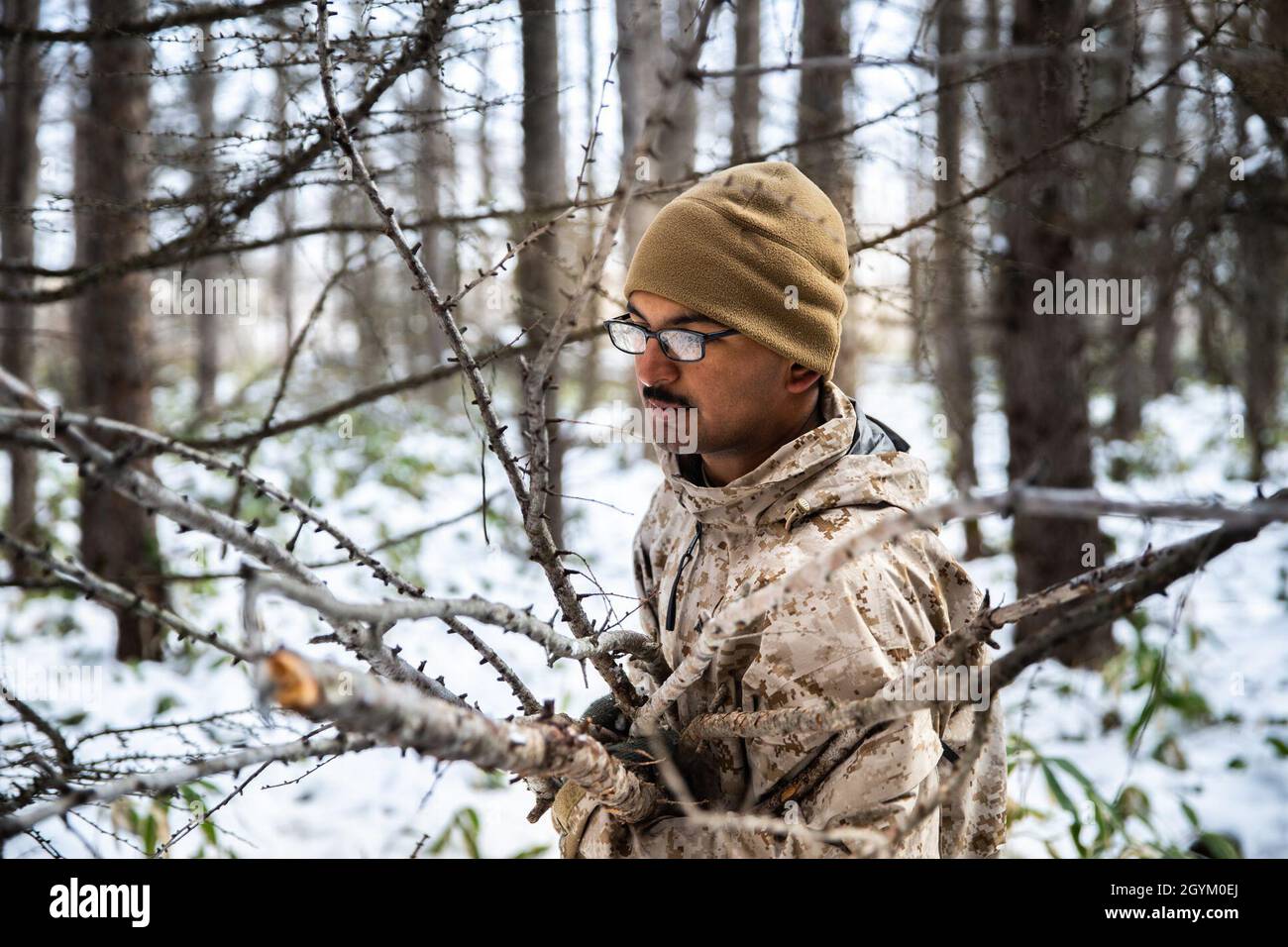 U.S. Marine Corps Lance Cpl. Albert Medina carries sticks and branches for an outdoor shelter during exercise Northern Viper on Yausubetsu Training Area, Hokkaido, Japan, Jan. 24, 2020. Personnel currently assigned to the Logistics Combat Element for exercise Northern Viper prepare for upcoming operations. Northern Viper is a regularly scheduled training exercise that is designed to enhance the interoperability of the U.S. and Japan Alliance by allowing Marine Air-Ground Task Forces from III Marine Expeditionary Force to maintain their lethality and proficiency in MAGTF Combined Arms Operation Stock Photo