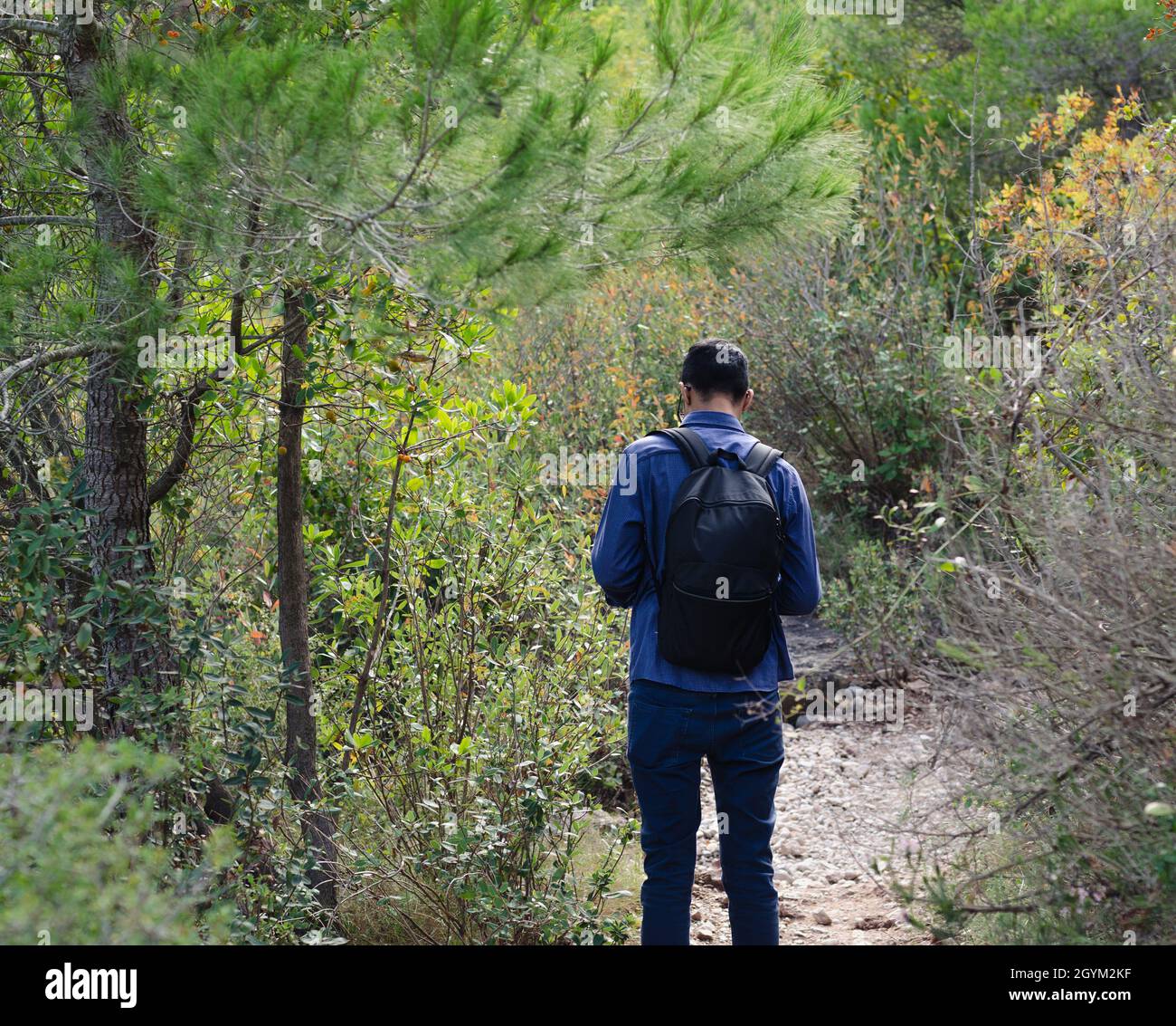 young man lost in the mountains looking at his compass or telephone to orient himself and find his way. survivor walking through the forest. Stock Photo