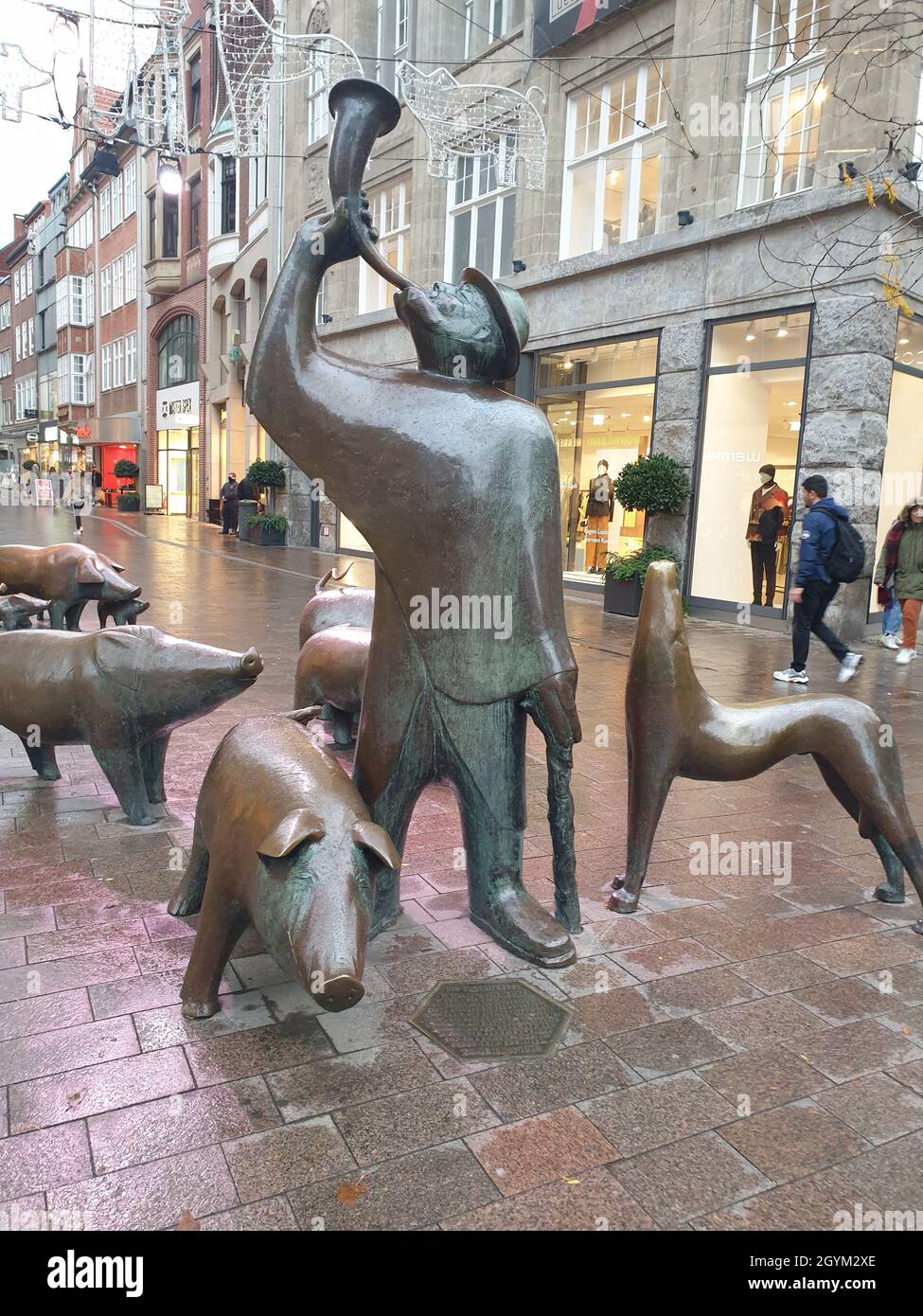 Herder and his pigs in Bremen Stock Photo