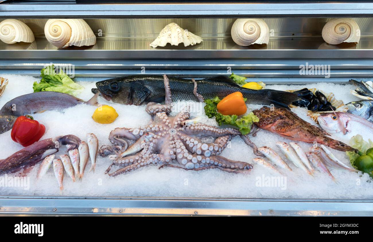 Fresh Fish On Display Nafplion Peloponnese Greece Stock Photo Alamy