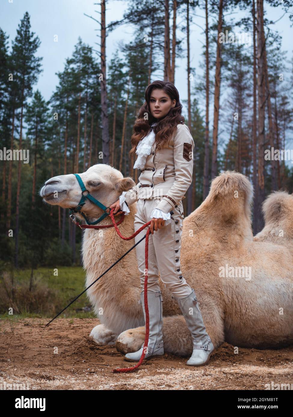 Young beautiful brunette in a rider costume next to a big white camel with two humps, forest in the background Stock Photo