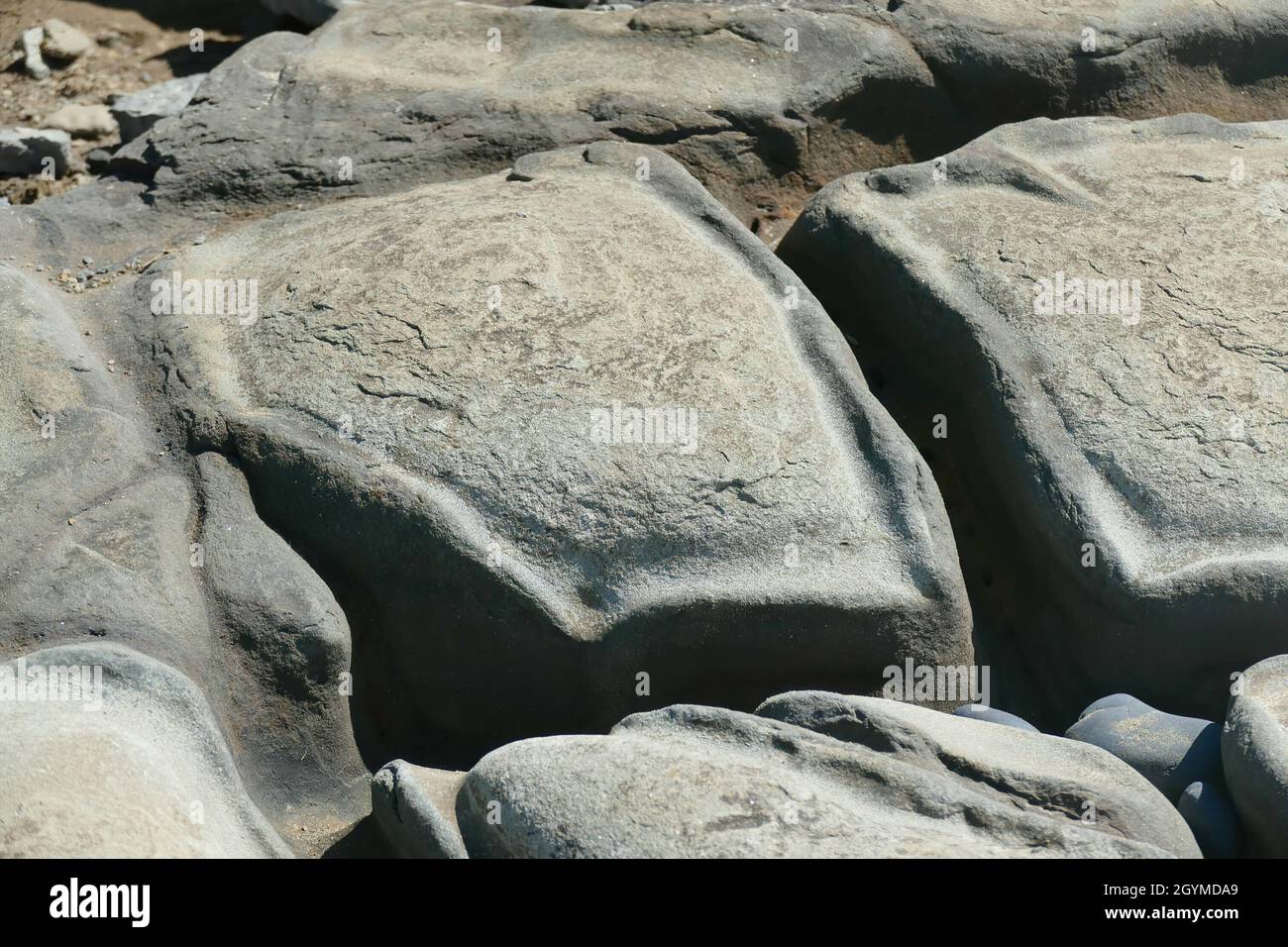 Geometric mudstone formations on Oregon beach Stock Photo - Alamy