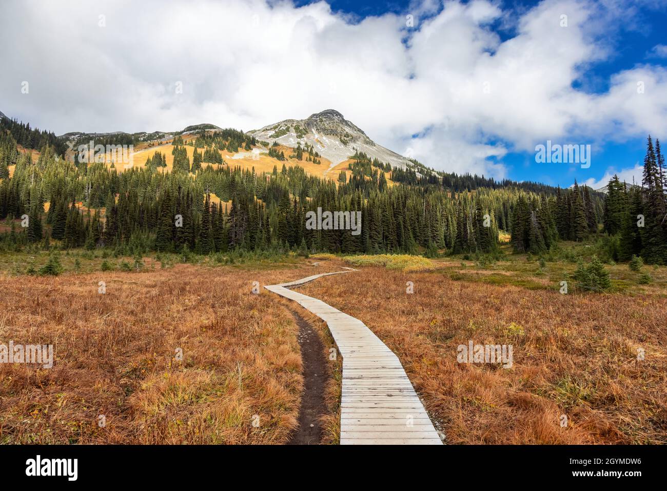 Hiking trail outdoors in Canadian nature Stock Photo - Alamy