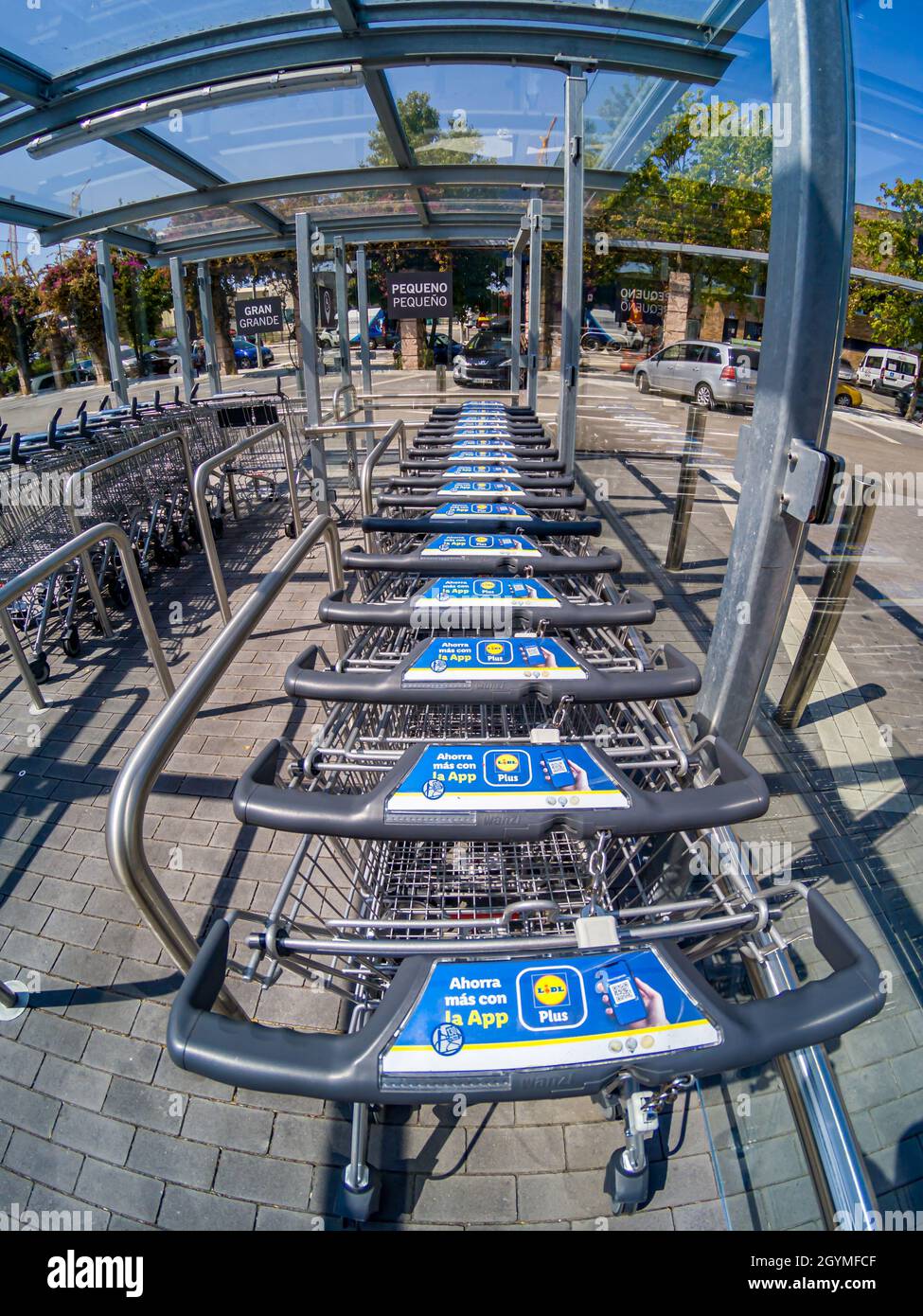 VIGO, SPAIN - Sep 09, 2021: A spanish LIDL Shopping carts aligned in Spain Stock Photo