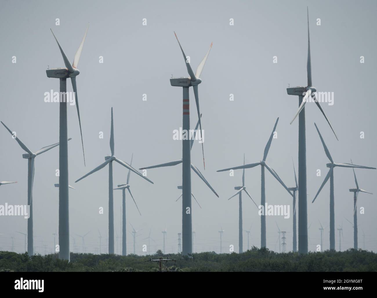 Wind turbine electricity generators in the windy region near La Ventosa