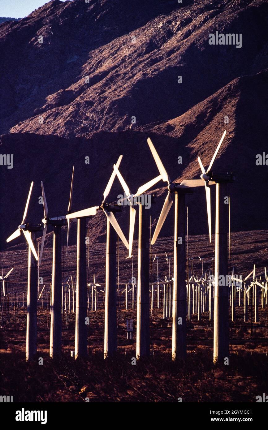 Windpowered electricity generators at first light in the morning near