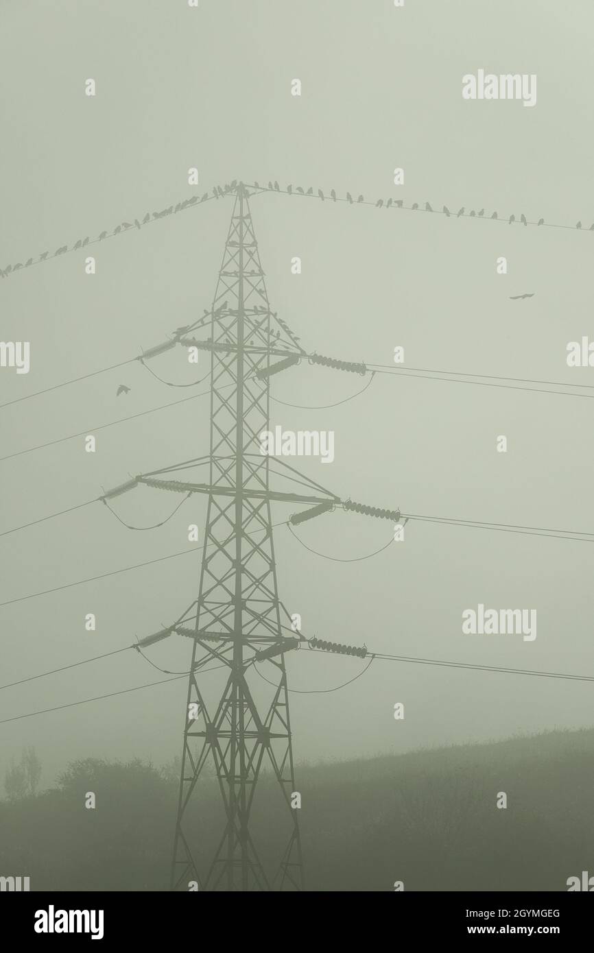 high voltage electric pillar image taken on a foggy morning Stock Photo