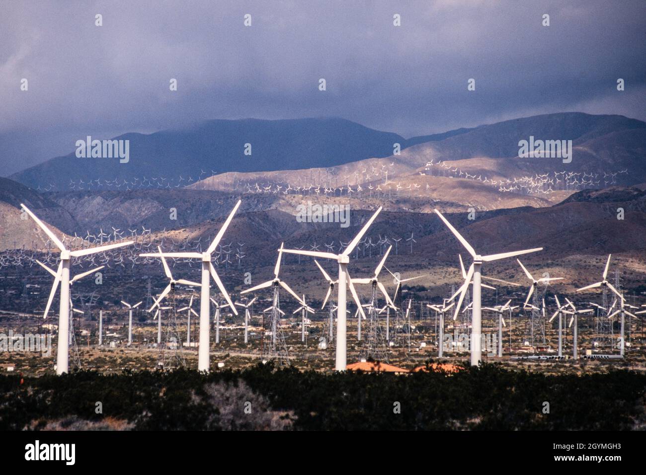 Wind farms of windpowered electricity generators near Palm Springs