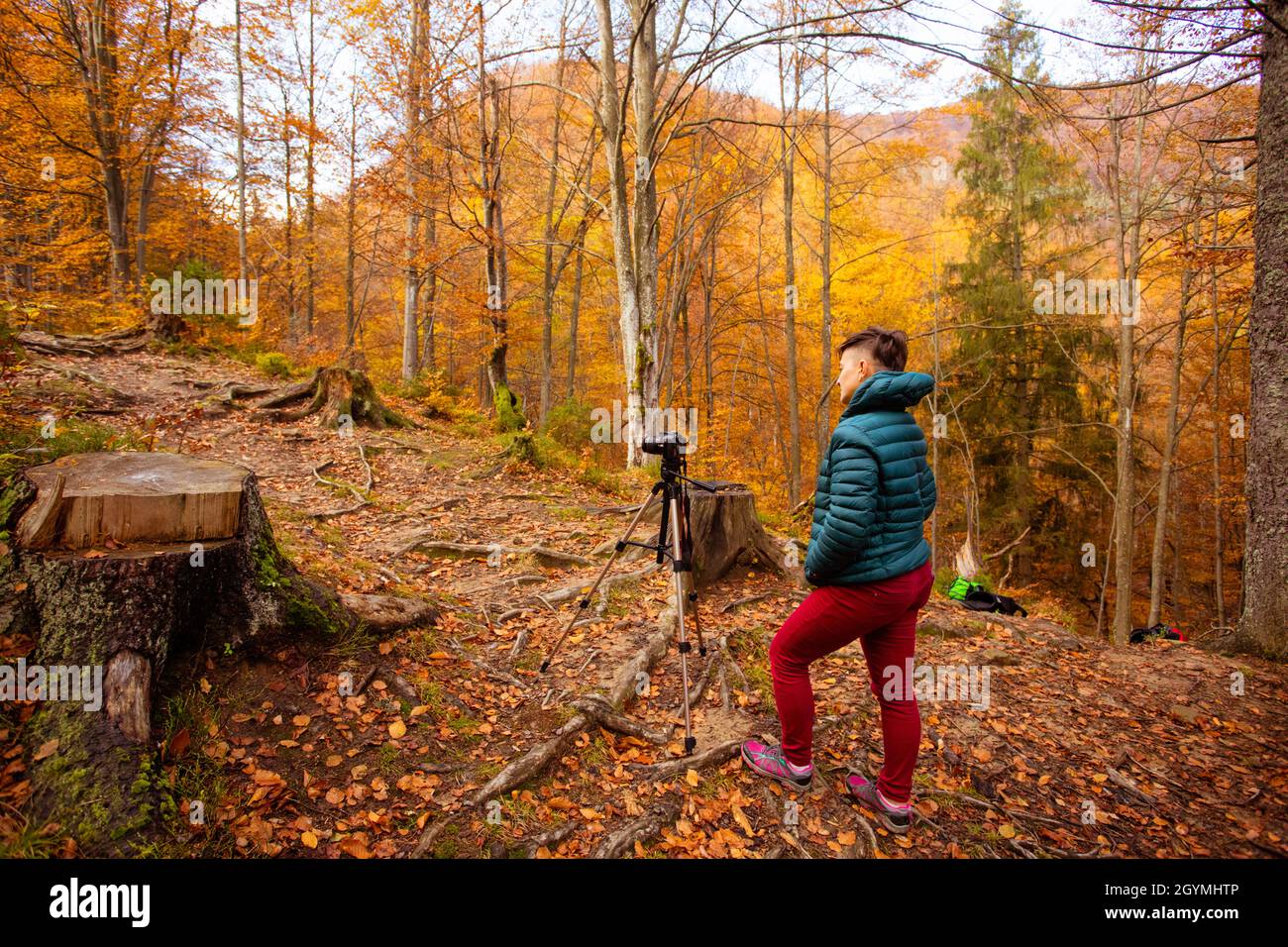 Slow exposure plant light hi-res stock photography and images - Alamy
