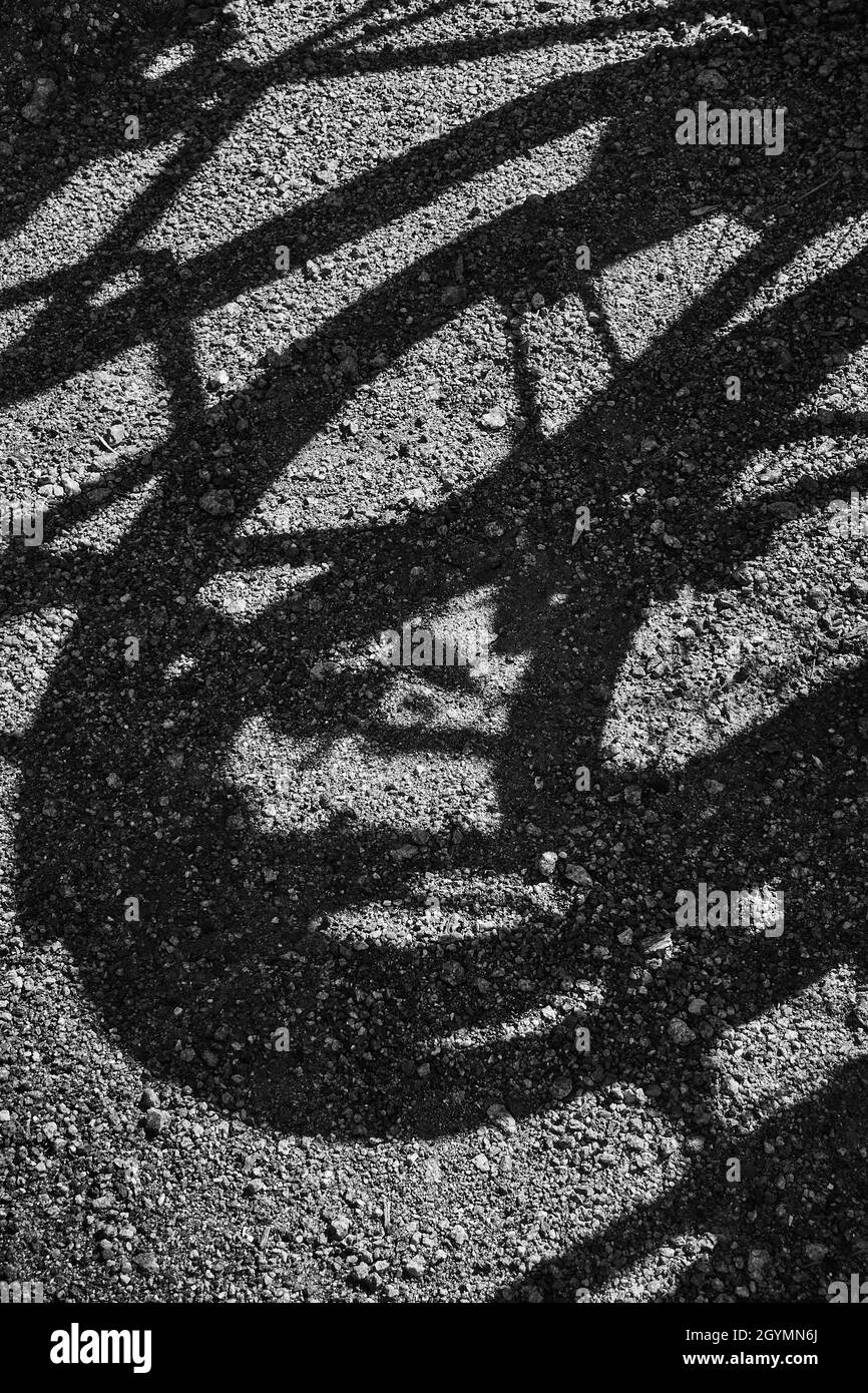 Closeup photos of objects casting shadows and creating mysteries in black and white. Stock Photo