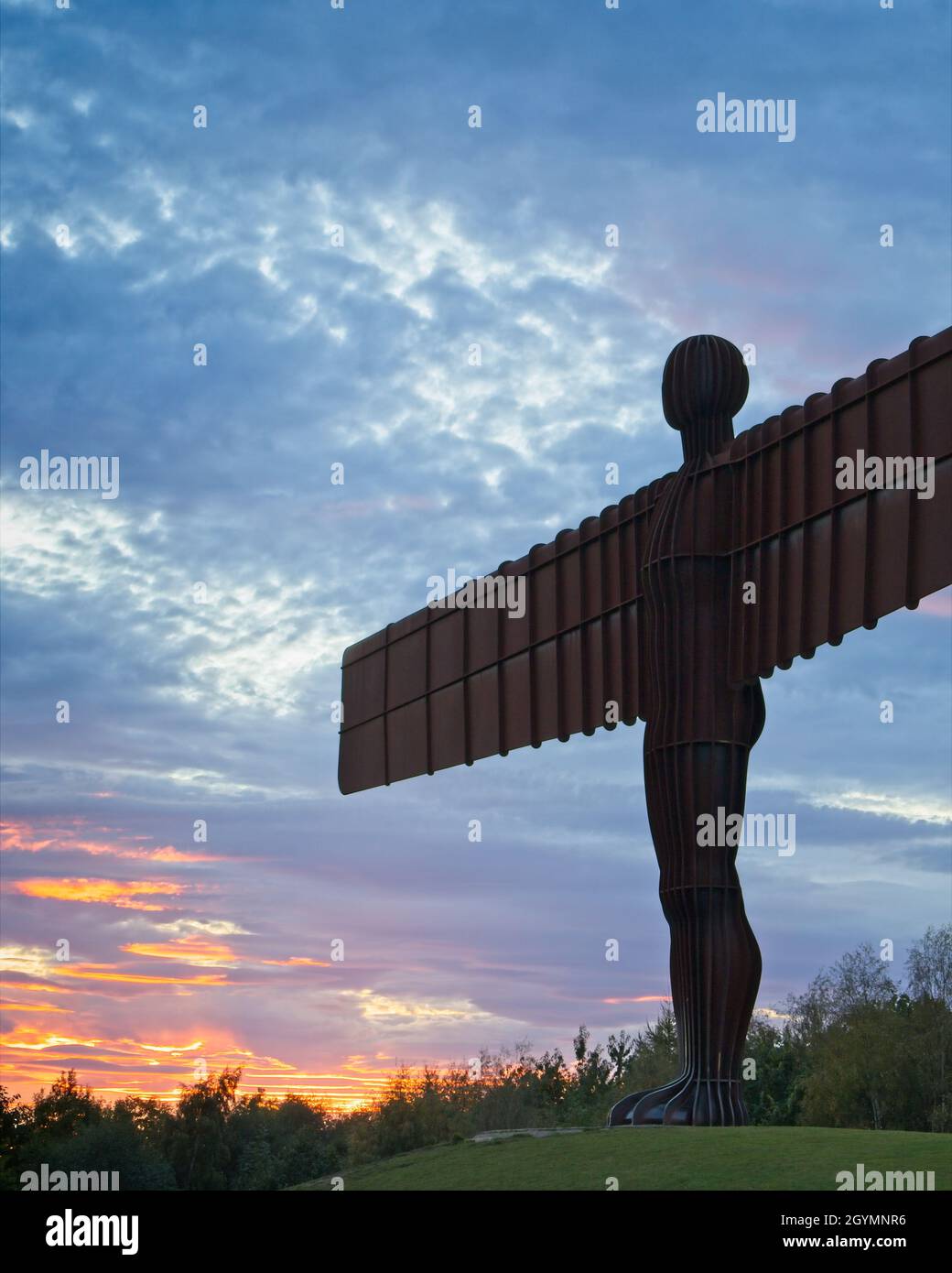 wave rider gateshead