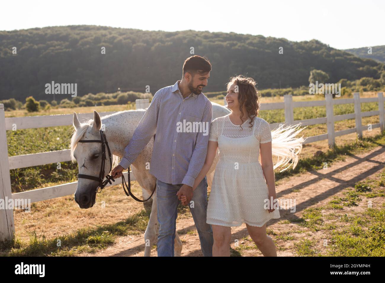Bearded man leads white horse hi-res stock photography and images - Alamy