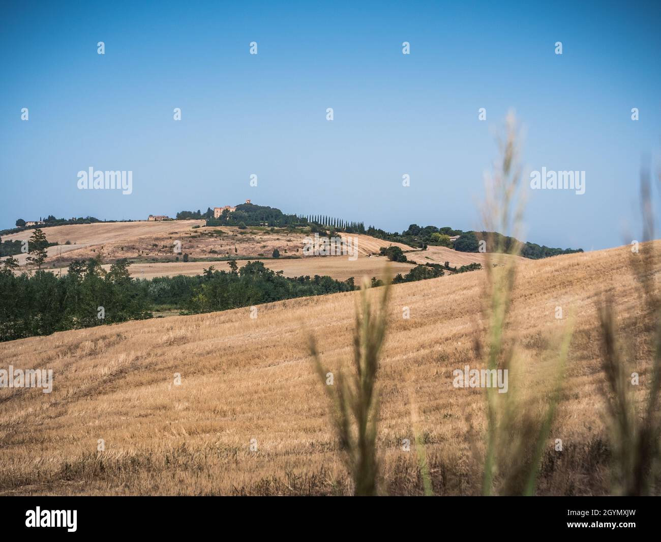 Rolling Hills of Tuscany near Montalcino, Italy in late Summer Stock Photo