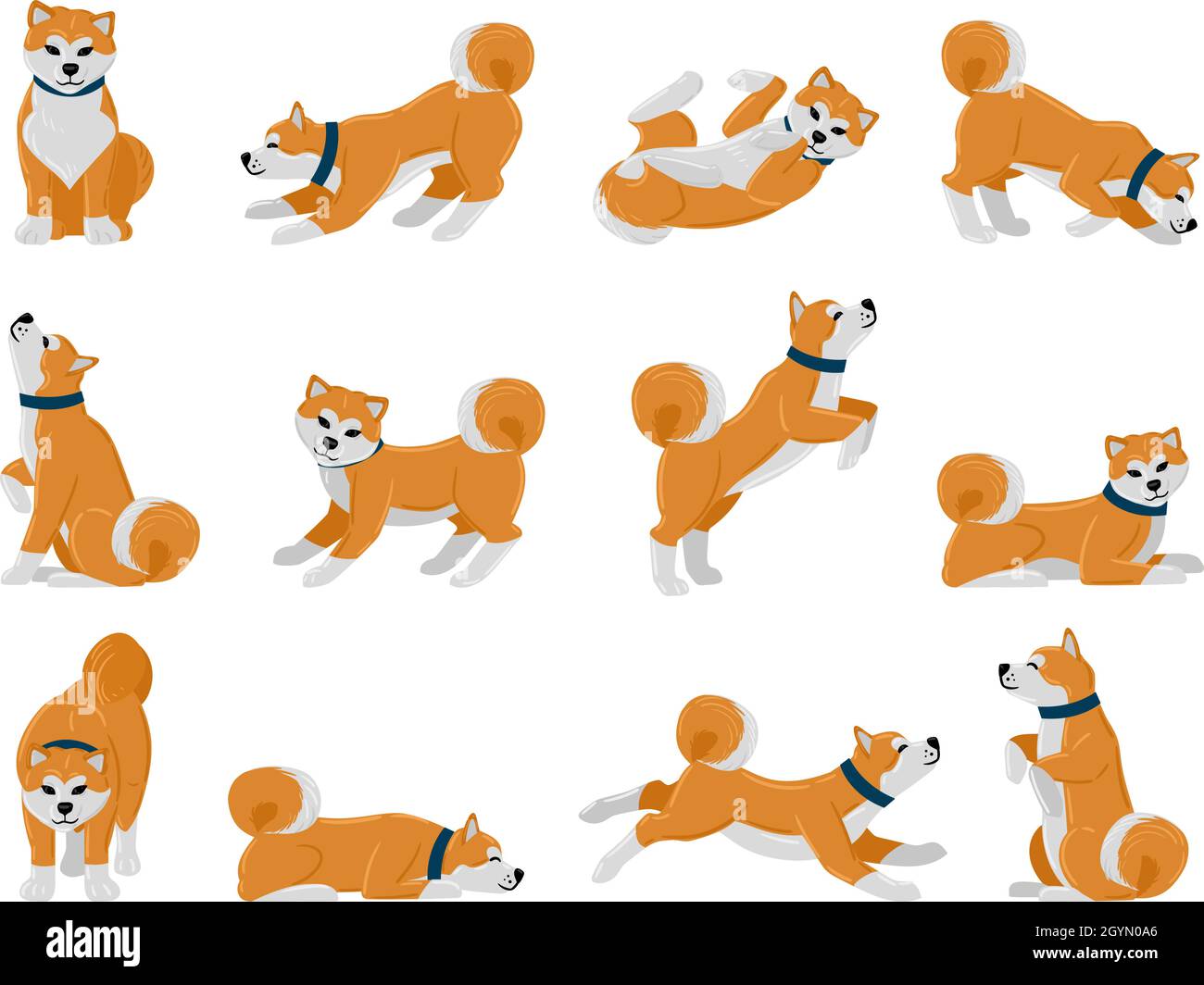 Cartoon akita dog daily routine, puppy pet walking, sleeping and ...