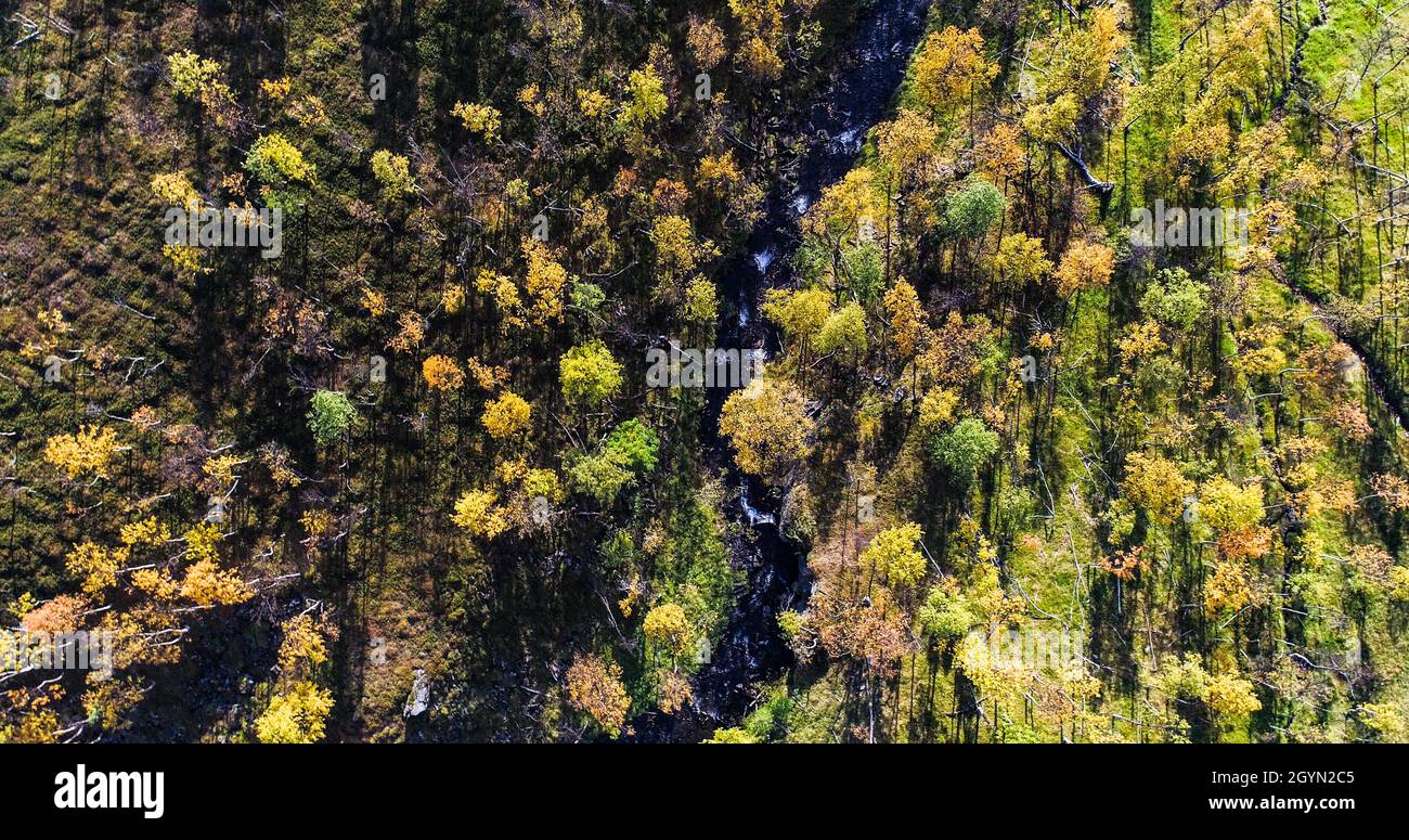 River in autumn forest, Aerial Stock Photo - Alamy