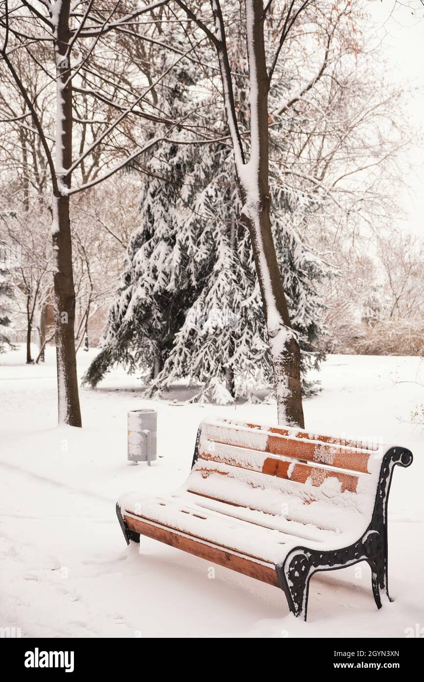 orange bench in the park in the snow in winter. Kyiv, Mariinskyi Park ...