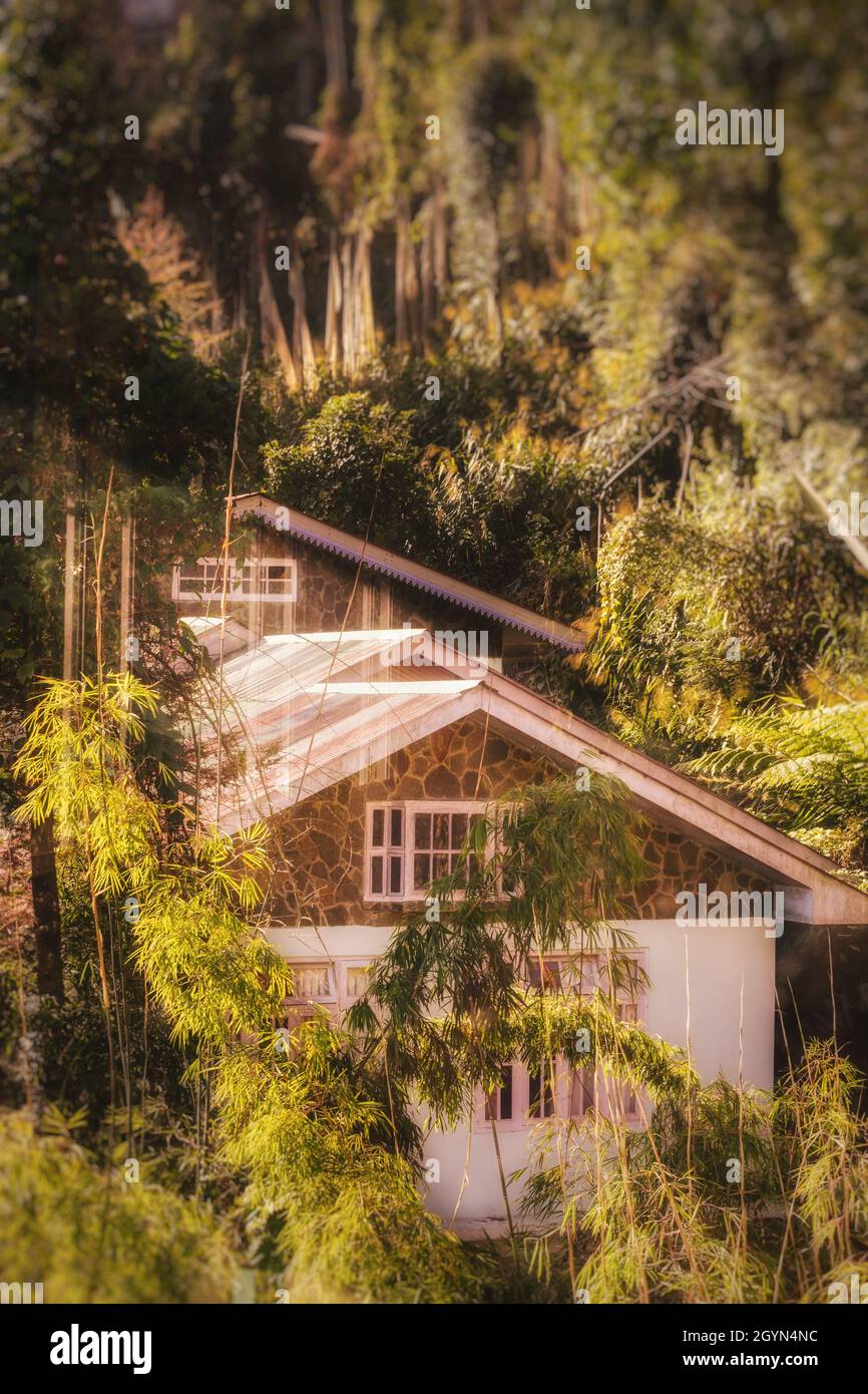 Cabin in the woods of Gangtok Stock Photo
