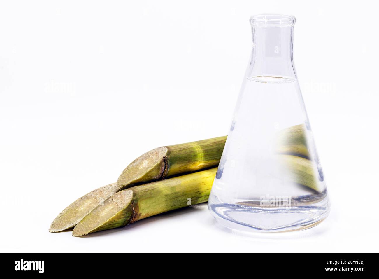 Ethanol with sugar cane, Alternative fuel alcohol, Brazilian biofuel